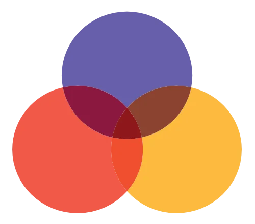 Bundelen van de informatie - Zendd Bundelen van de informatie
